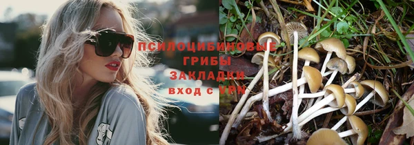 соль ск Аркадак