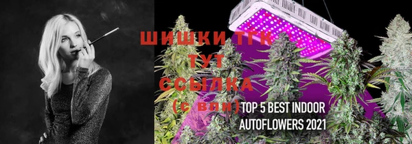 соль ск Аркадак